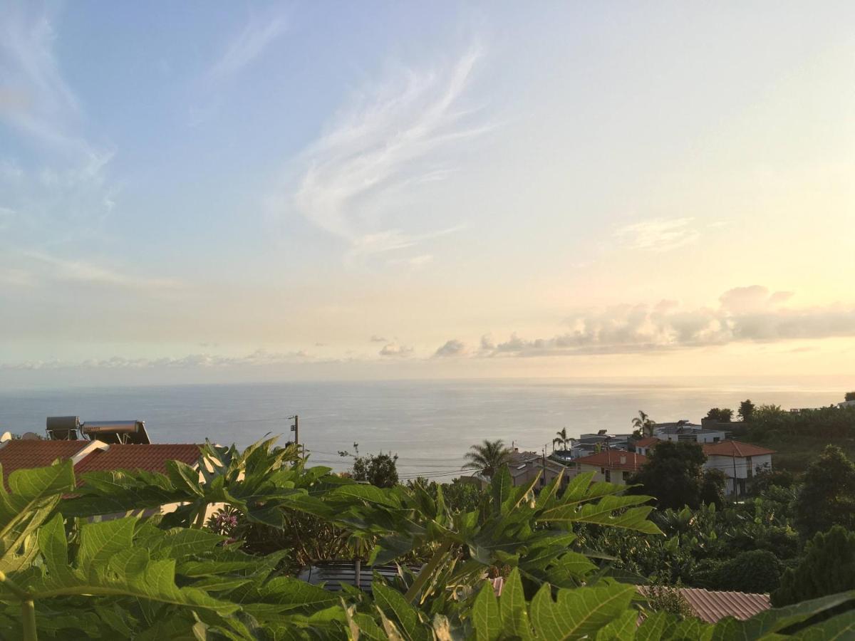 Villa Casa Do Arco à Arco da Calheta  Extérieur photo